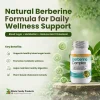 Infographic showing the benefits of a natural berberine supplement for metabolic wellness, healthy blood sugar levels, digestion, and daily wellness support.