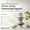 Biofilms detox infographic featuring a plant-based herbal formula for liver support, digestive support, and biofilm cleanse.