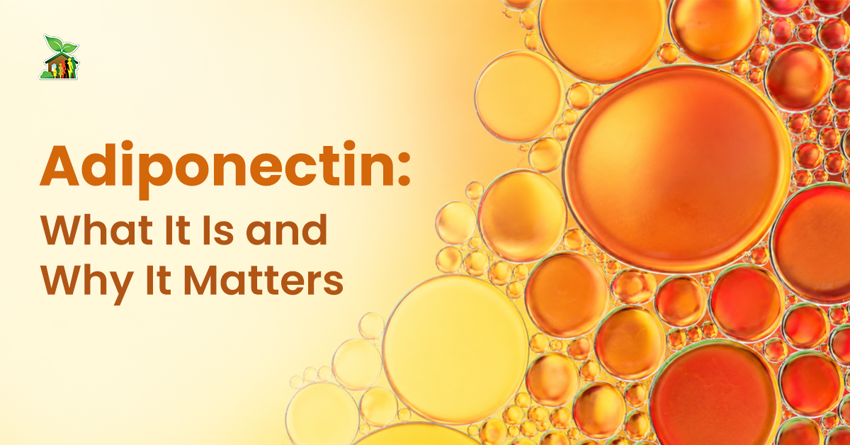 Adiponectin: What It Is and Why It Matters