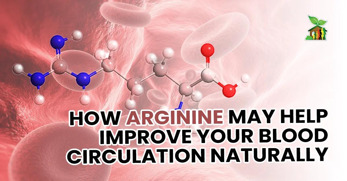 How Arginine May Help Improve Blood Circulation Naturally