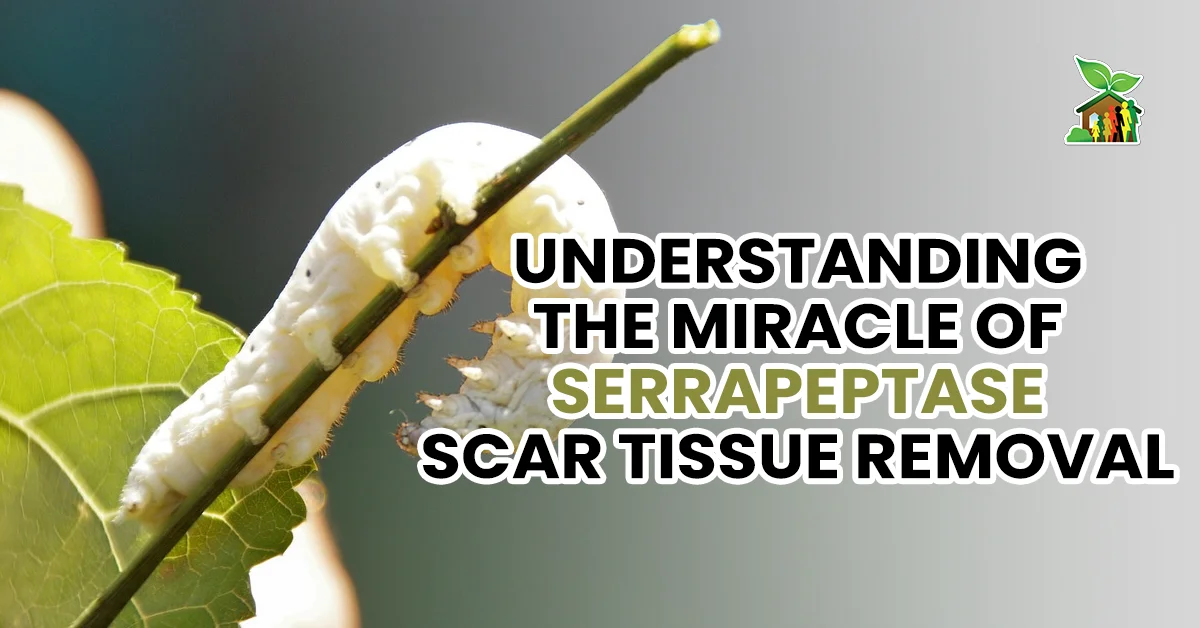 Understanding The Miracle of Serrapeptase Scar Tissue Removal