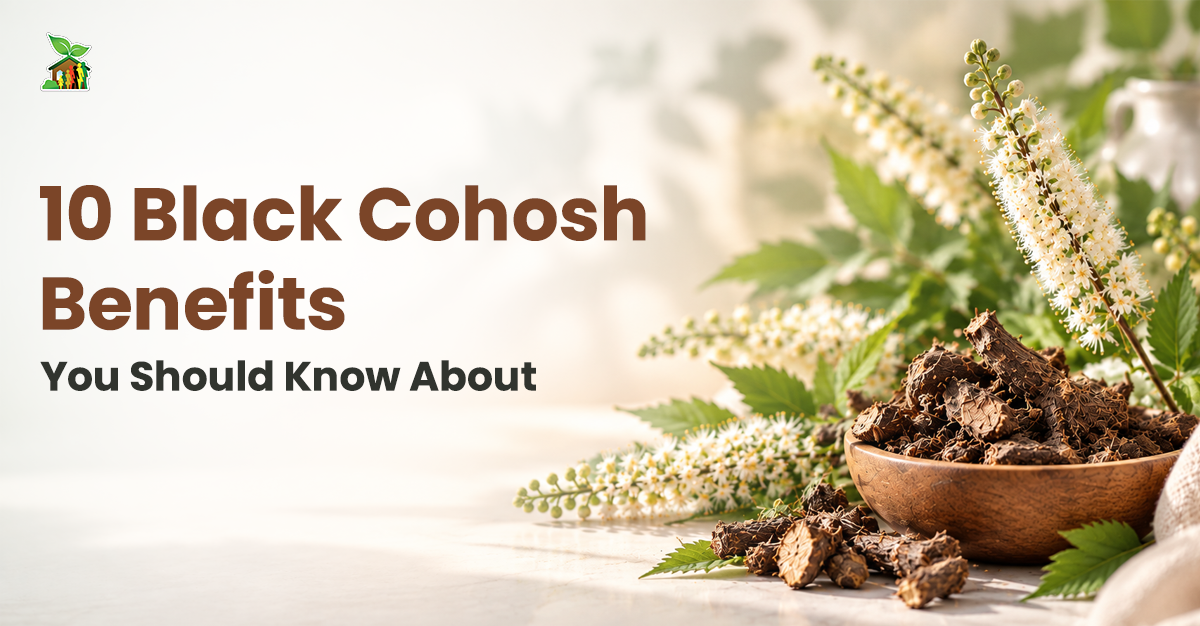 Ten Black Cohosh Benefits to Help You Get Better