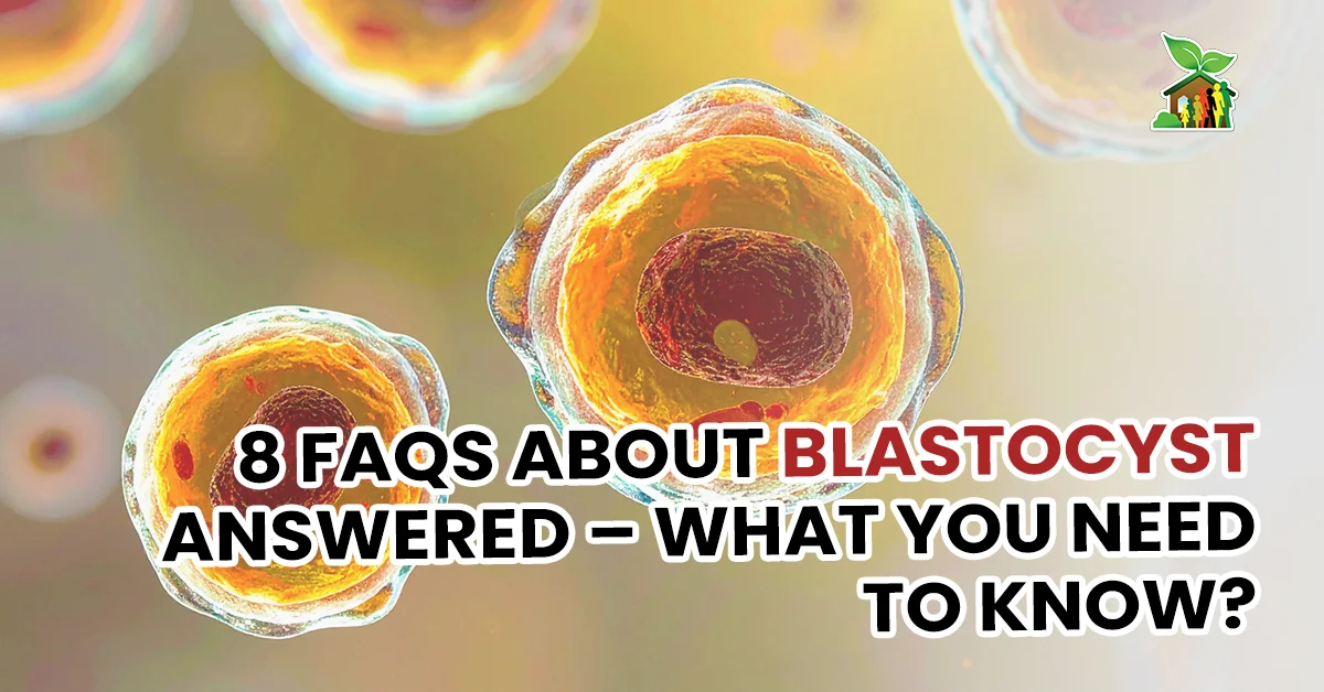 8 FAQs about Blastocyst Answered – What You Need to Know?