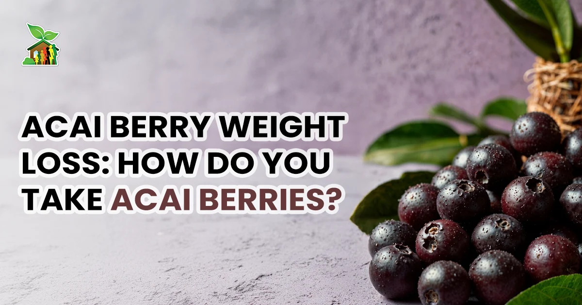 Acai Berry Weight Loss: How Do You Take Acai Berries?