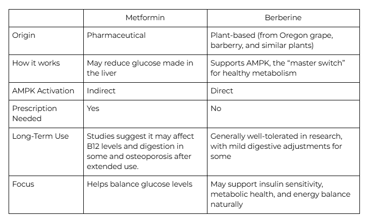 Berberine vs Metformin: Which Is Better for Type 2 Diabetes and Insulin Sensitivity? 2 Berberine VS. Metformin Effectiveness and Key Differences