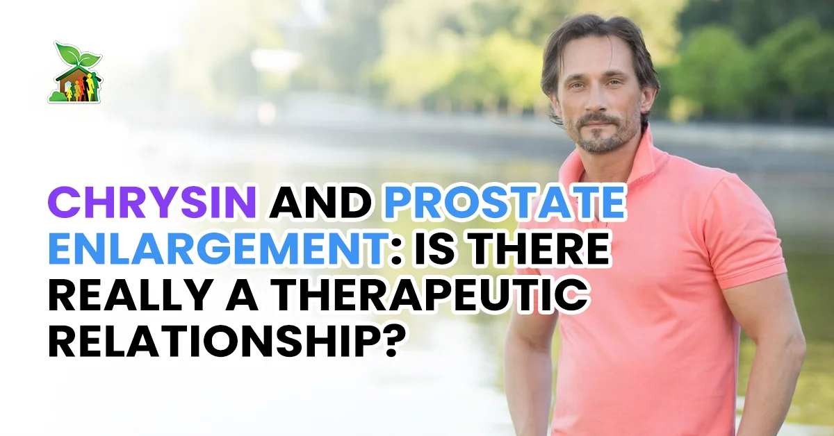 Chrysin and Prostate Enlargement Is There Really A Therapeutic Relationship Chrysin and Prostate Enlargement Is There Really A Therapeutic Relationship