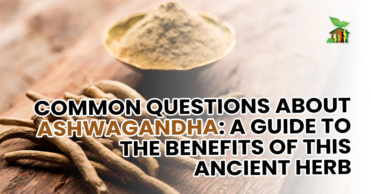 Common Questions About Ashwagandha: A Guide To The Benefits of This Ancient Herb