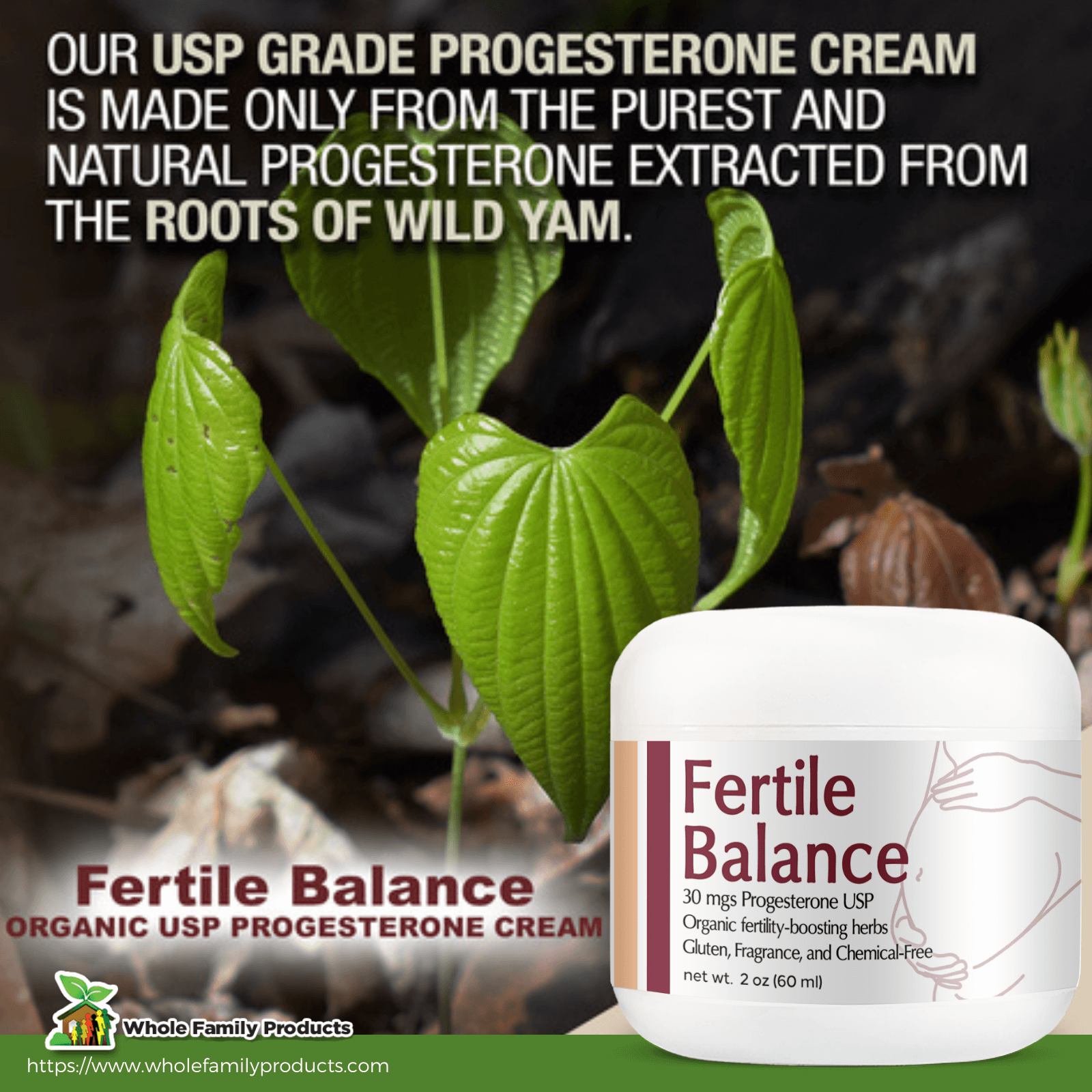 Infertility and How Fertile Balance Organic USP Progesterone Cream Can Help 1 Fertile Balance Natural Progesterone Cream - WFP Infographics