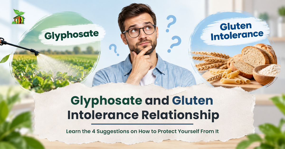 Glyphosate and Gluten Intolerance Relationship – Learn the 4 Suggestions on How to Protect Yourself From It