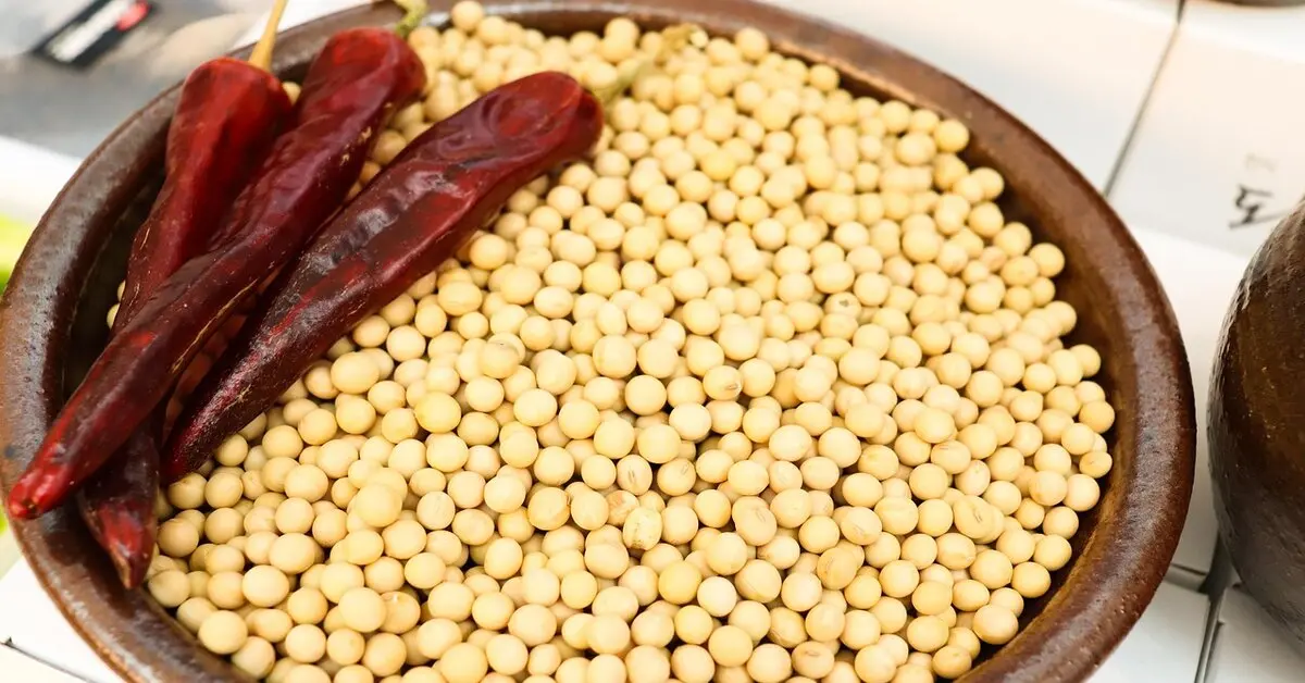 Nattokinase: Exploring Its Potential Role in Reducing Cancer Risk Factors