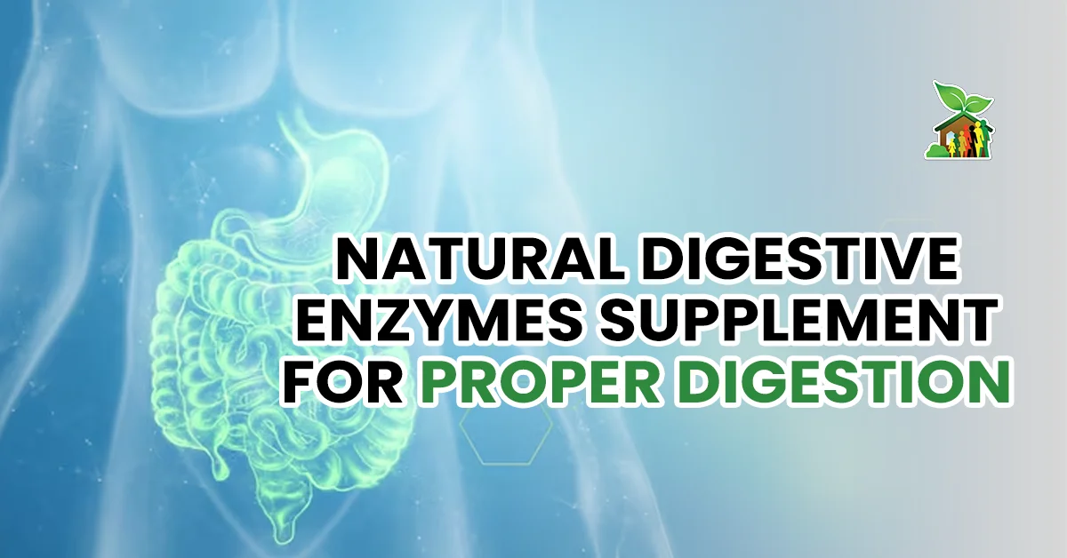 Natural Digestive Enzymes Supplement for Proper Digestion Natural Digestive Enzymes Supplement for Proper Digestion