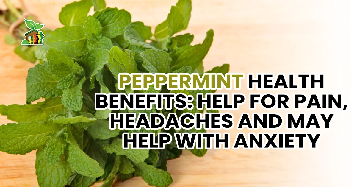 Peppermint Health Benefits: Help for Pain, Headaches and May Help with Anxiety