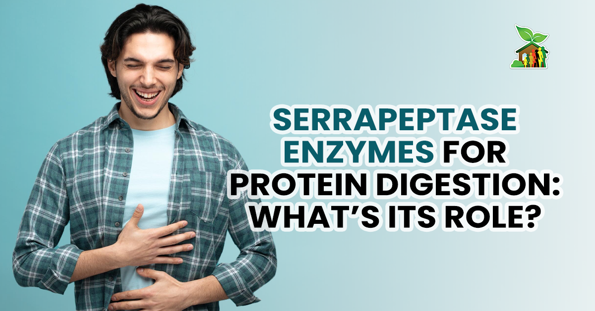 Serrapeptase Enzymes For Protein Digestion What’s Its Role Serrapeptase Enzymes For Protein Digestion What’s Its Role