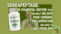 Whole Family Products: Provider of Better Health for Everyone 28 Serrapeptase: The Powerful Enzyme That Can Help Relieve Your Chronic Inflammation Related To Lung Problems