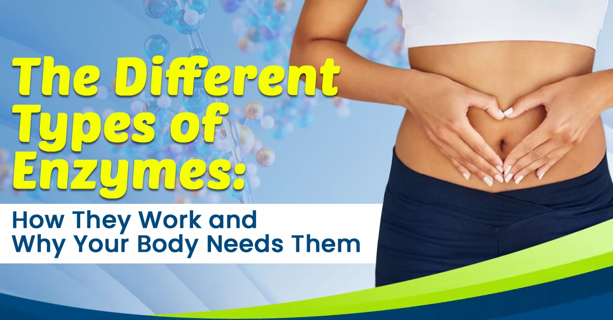 The Different Types of Enzymes: How They Work and Why Your Body Needs Them