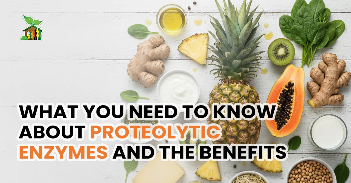 What You Need to Know About Proteolytic Enzymes and the Benefits