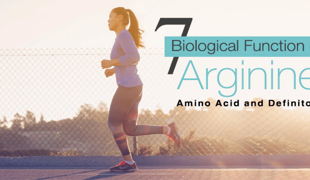 7 Biological Function of Arginine Amino Acid and Definition