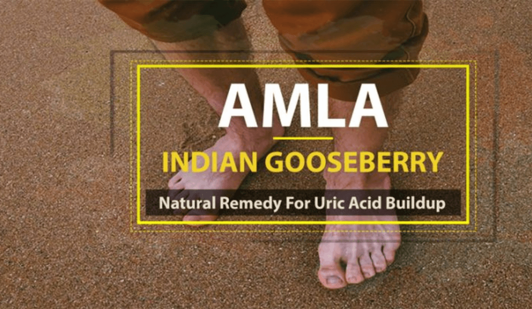 Amla (Indian Gooseberry): Natural Remedy For Uric Acid Buildup
