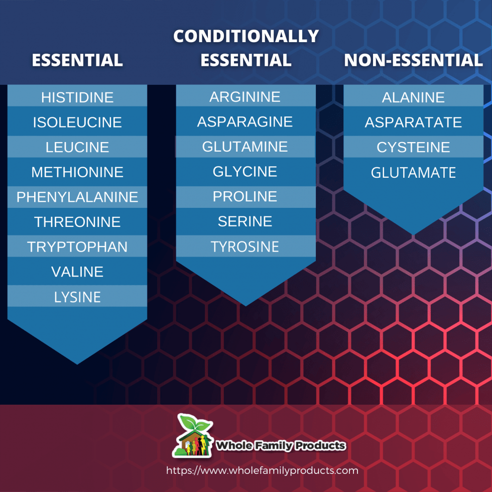 Importance of LArginine in Bodybuilding Definition, Uses, Dosage