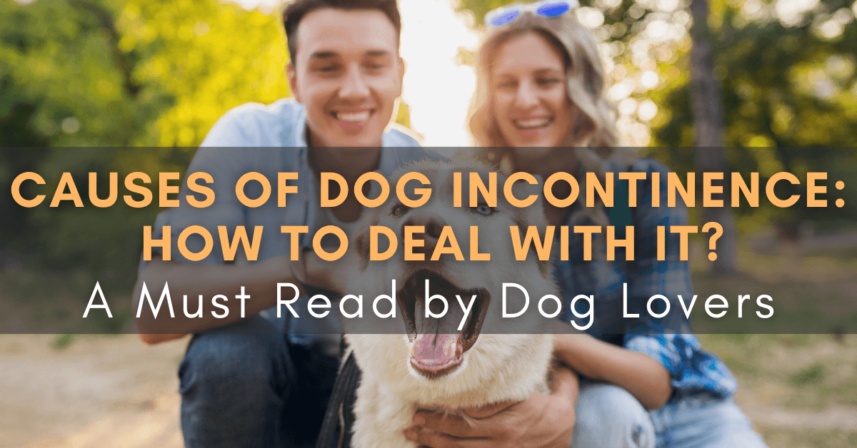 Causes for Dog Incontinence How To Deal With It A Must Read by Dog Lovers 1200x628