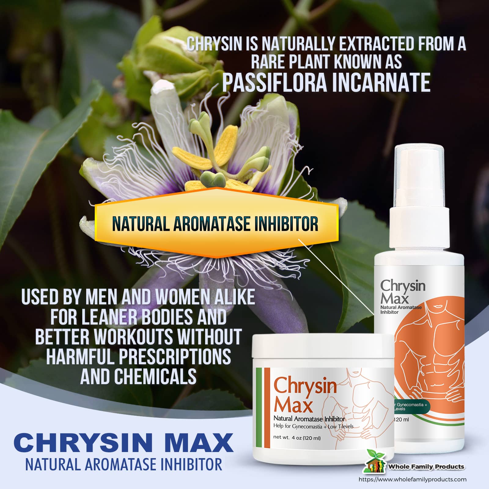 Chrysin Max Natural Aromatase Inhibitor Infographics