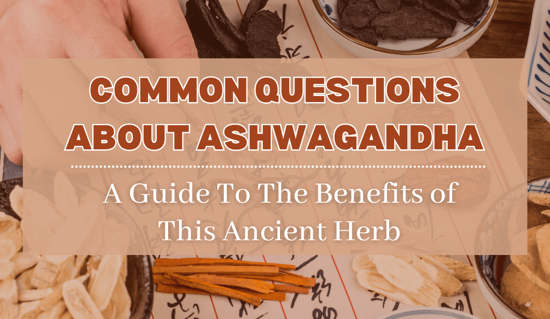 Common Questions About Ashwagandha: A Guide To The Benefits of This Ancient Herb