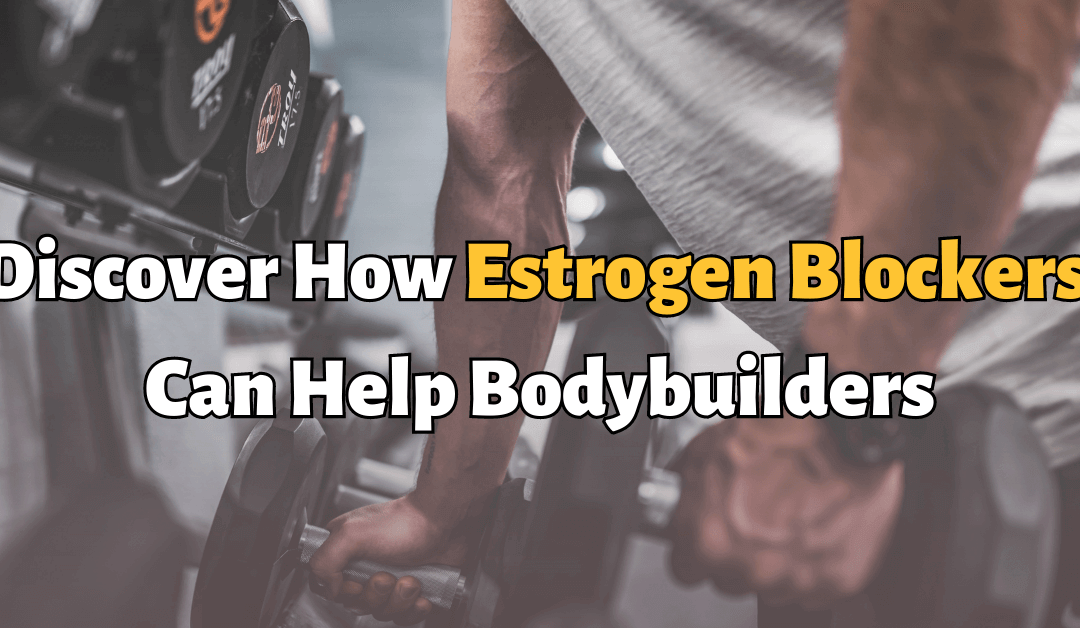 Discover How Estrogen Blockers Can Help Bodybuilders