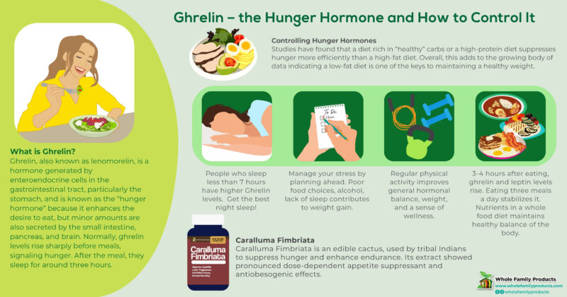 Ghrelin - Hunger Hormone