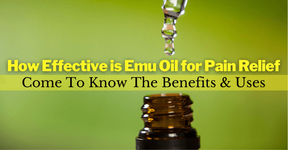 How Effective is Emu Oil for Pain Relief Come To Know The Benefits & Uses