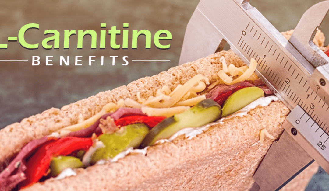 6 Most Known L-Carnitine Benefits