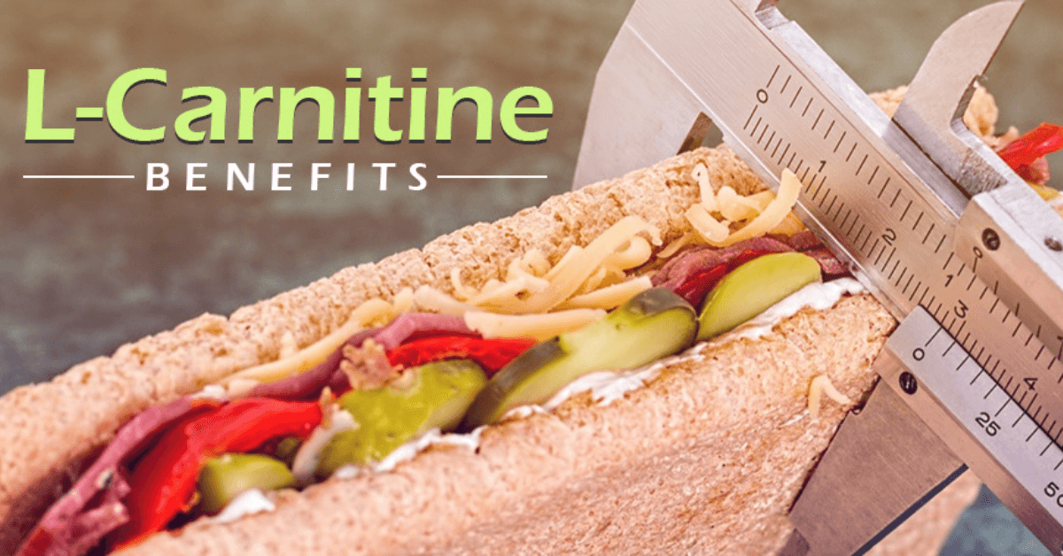 6 Most Known L-Carnitine Benefits