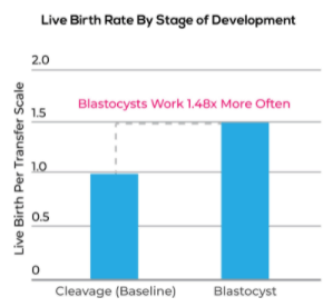 Live Birth Rate by Stage Development Infographics