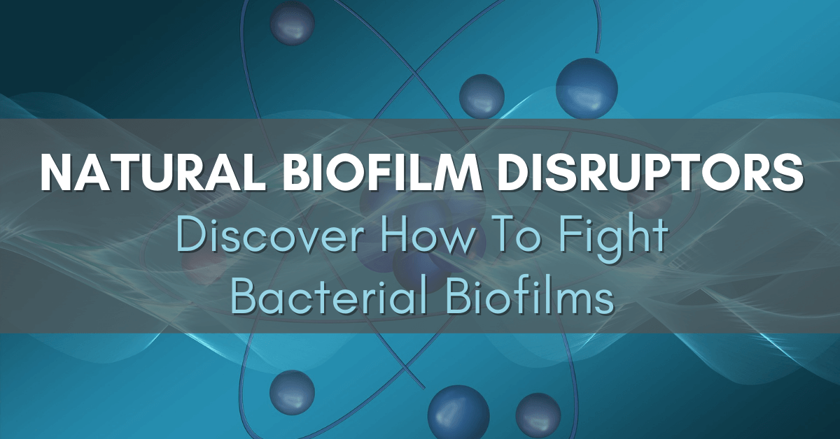 Natural Biofilm Disruptors: Discover How To Fight Bacterial Biofilms