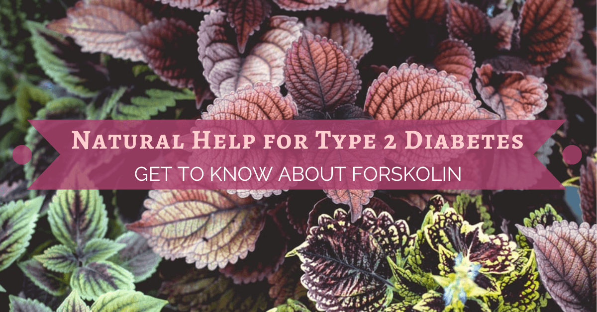 Natural Help for Type 2 Diabetes GET TO KNOW ABOUT FORSKOLIN