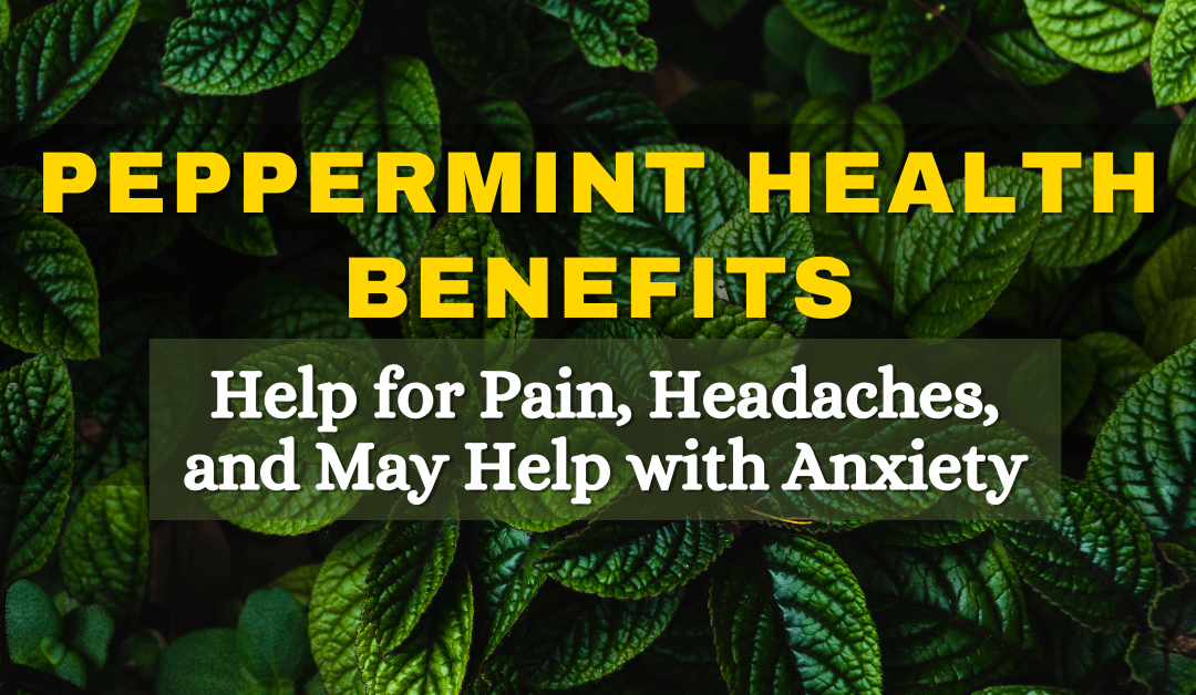 Peppermint Health Benefits: Help for Pain, Headaches and May Help with Anxiety