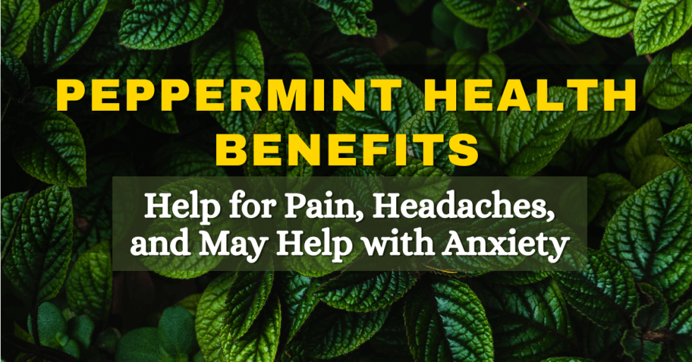 Peppermint Health Benefits May Help with Pain, Headaches, and Anxiety