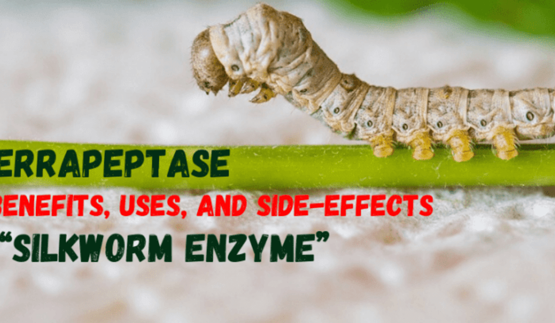 Serrapeptase Benefits, Uses, and Side-Effects of the “Silkworm Enzyme”