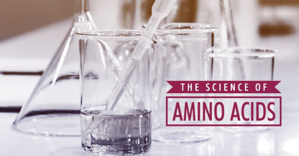 The Science of Amino Acids