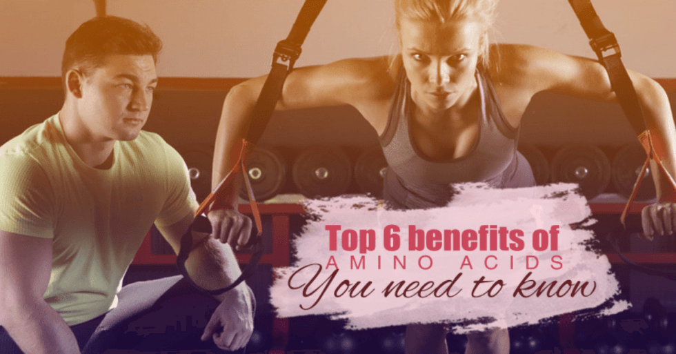Top 6 Benefits of Amino Acids You Need to Know | Whole Family Products