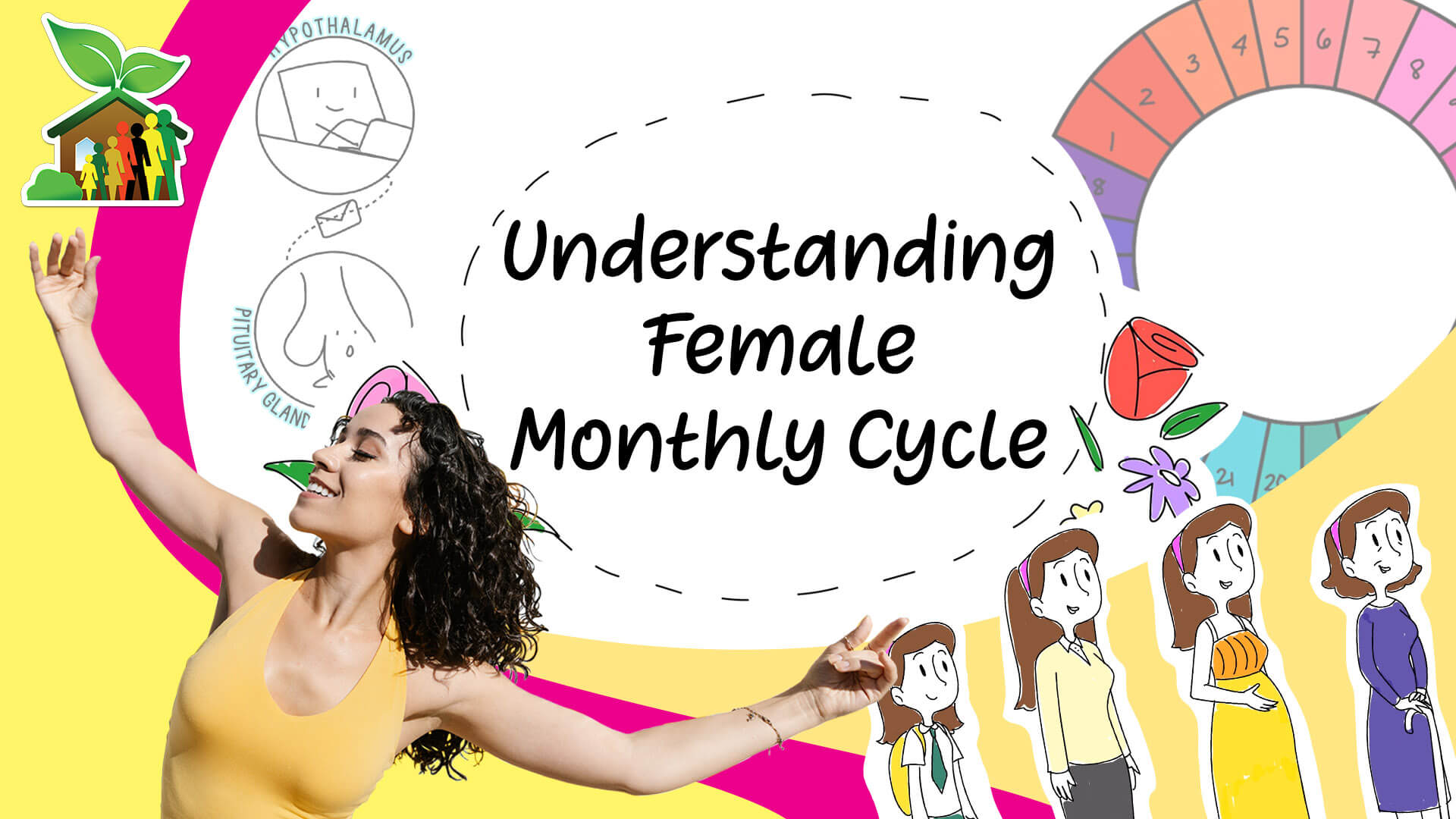 Understanding Female Monthly Cycle