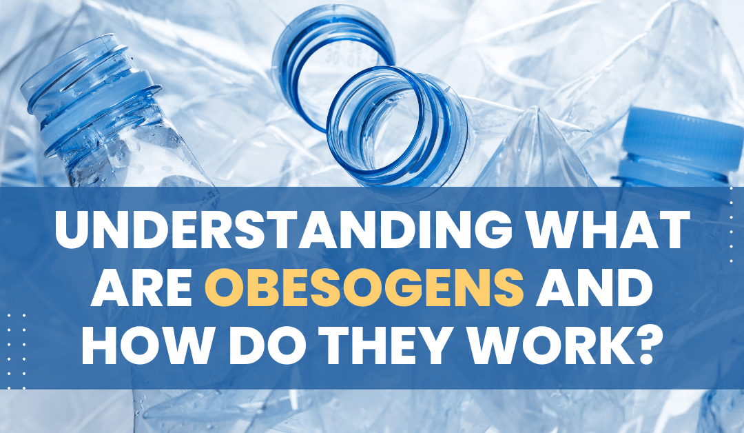 Understanding What Are Obesogens and How Do They Work?