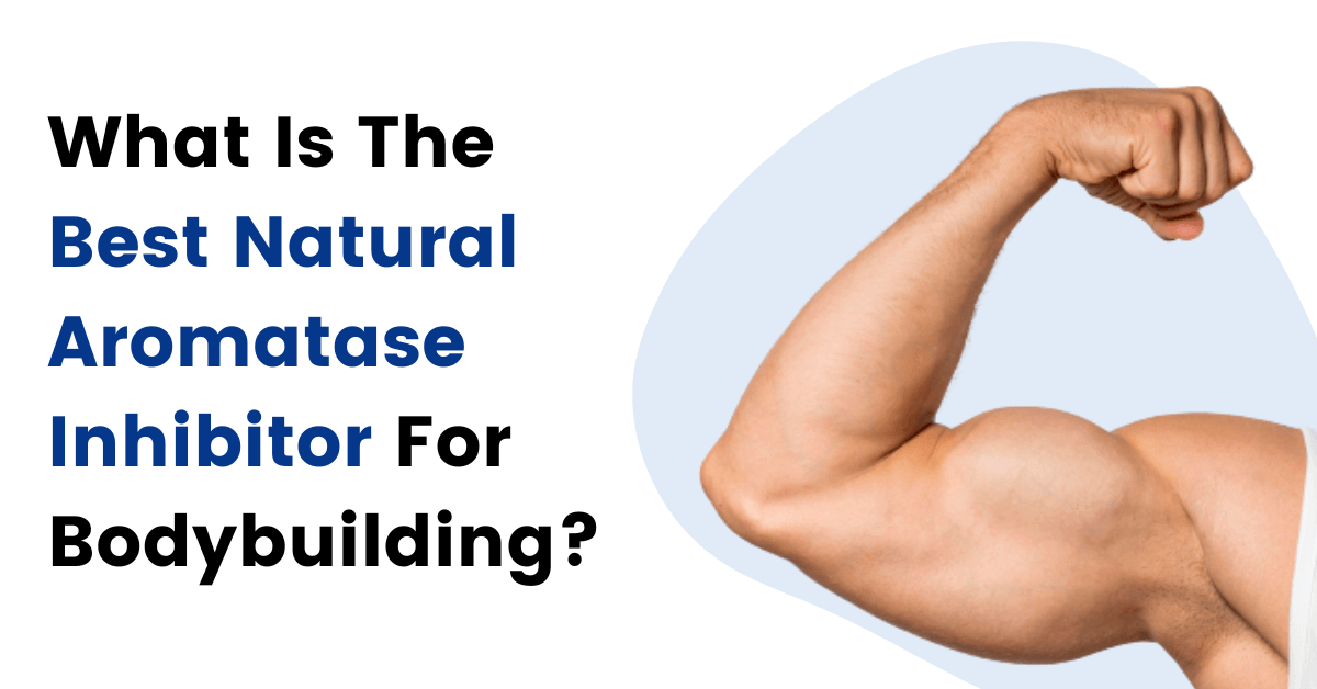 What Is The Best Natural Aromatase Inhibitor For Bodybuilding (