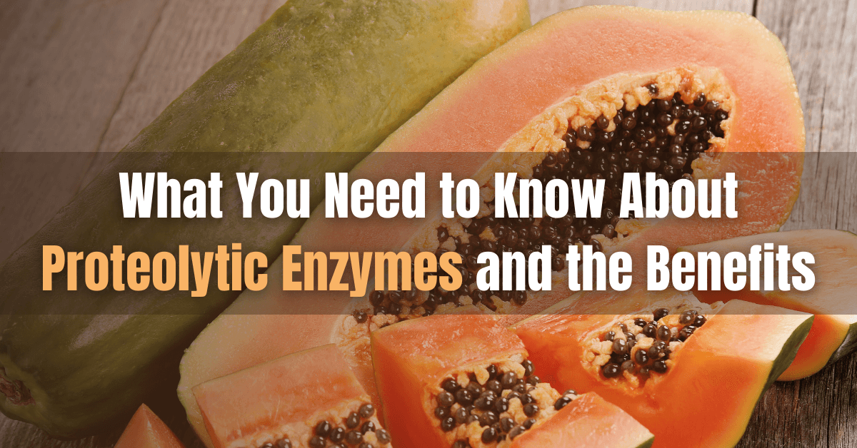 What You Need to Know About Proteolytic Enzyme and the Benefits